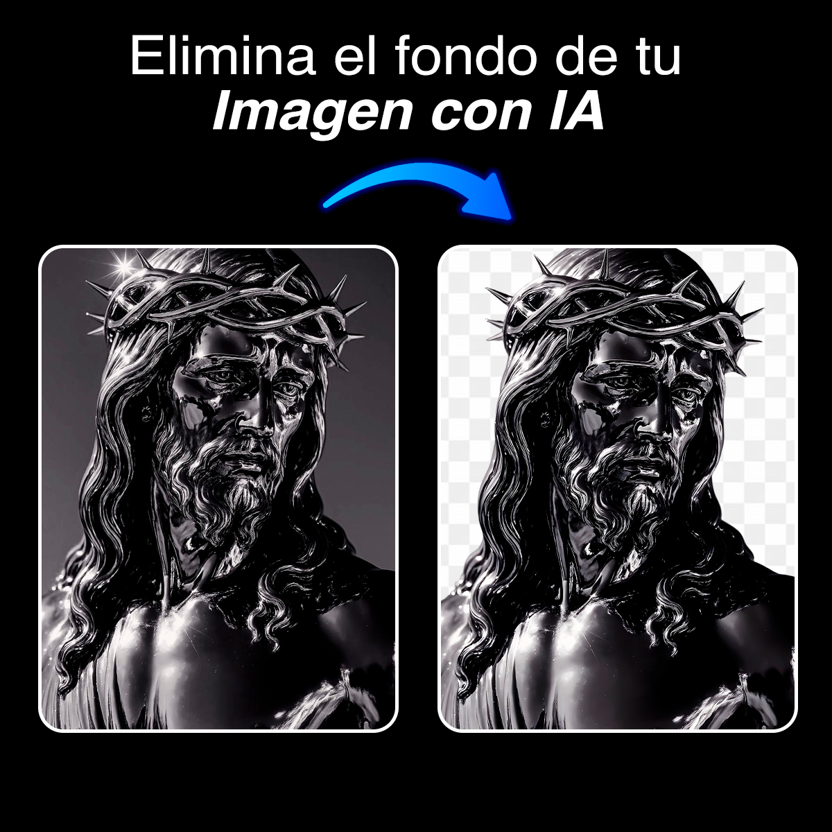 Mi Studio PRO MEMBRESÍA